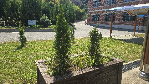 사계절 푸른 기상을 품은 광주경신중학교의 생생한 힐링 공간, 환경 개선 사업